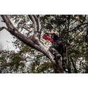 M18_FUEL™_Pilarka_łańcuchowa_40_cm_Milwaukee_M18_FCHS-121_4