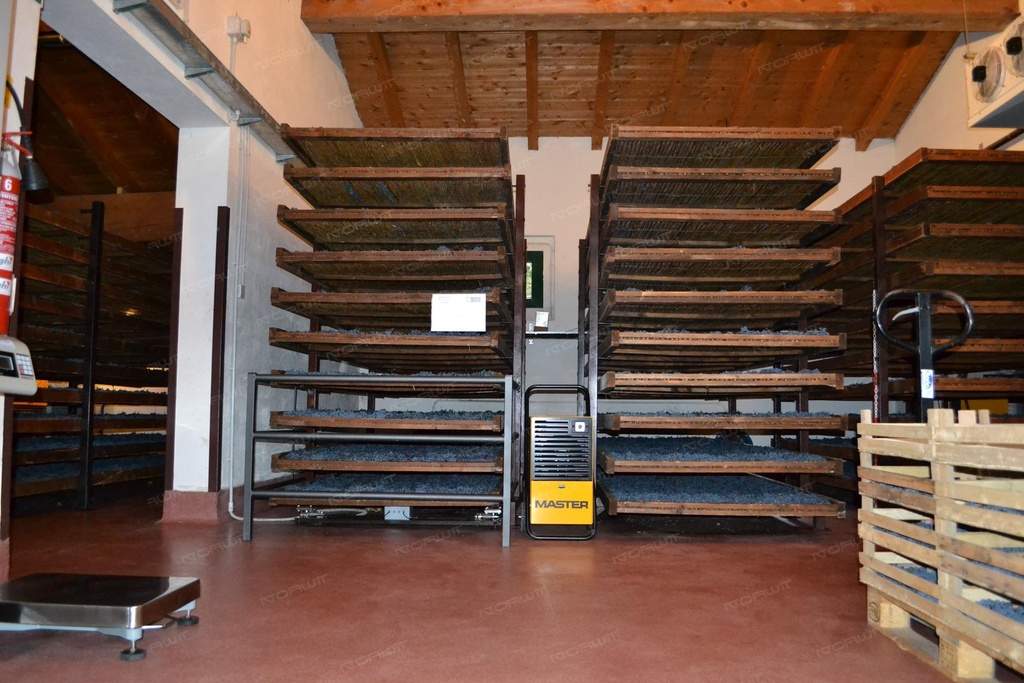 Osuszacz powietrza Master DH 26